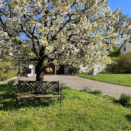 Ferienwohnung Am Kirschbaum الدنغن مولهوفن المظهر الخارجي الصورة
