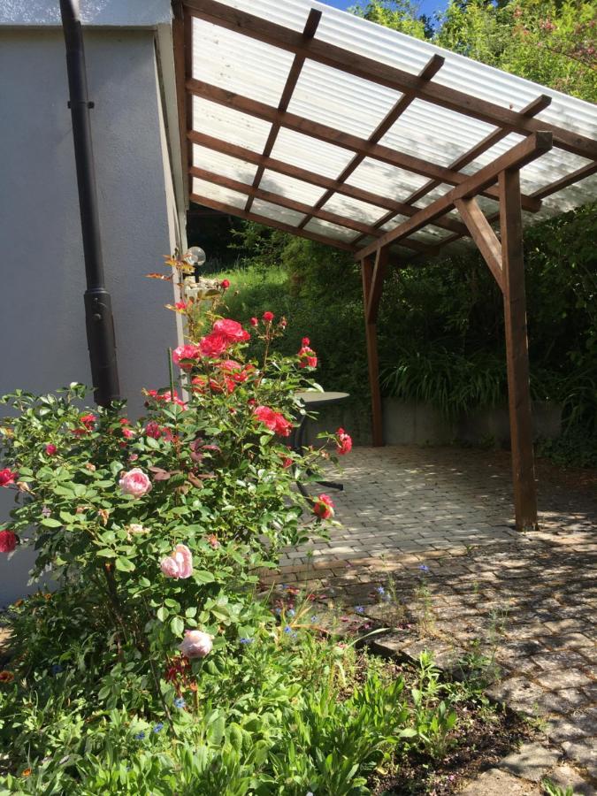 Ferienwohnung Am Kirschbaum الدنغن مولهوفن المظهر الخارجي الصورة